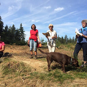 Pilgern auf dem Marienweg - Taufkapellenrunde