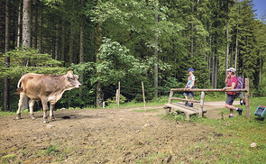'Wir haben eine Art Vollkasko-Mentalität'