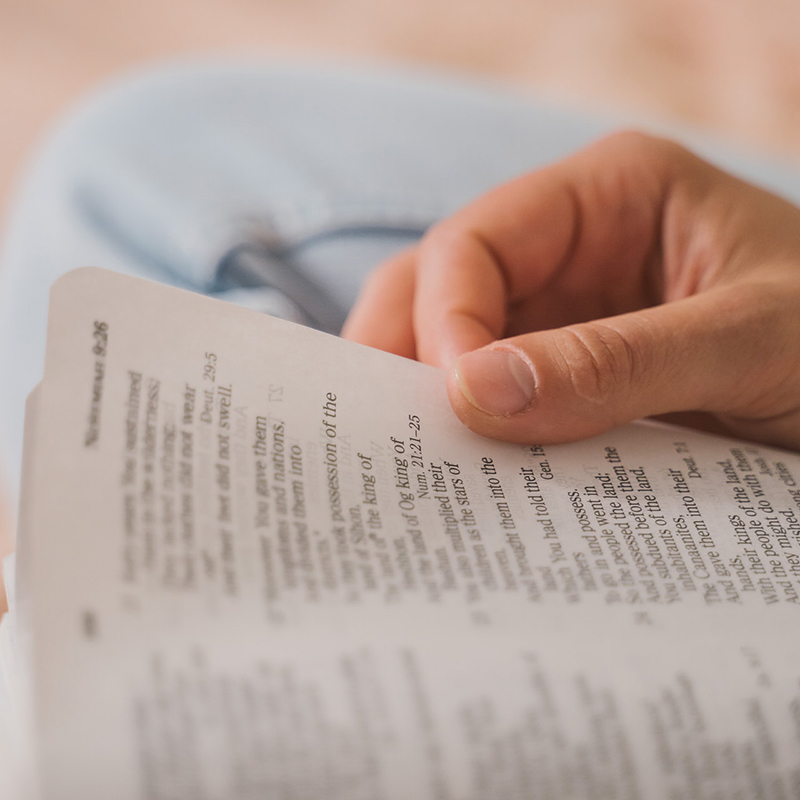 Bibel