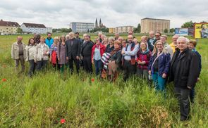Die Wandergruppe vor Wels, im Hintergrund die Türme des 'Doms auf der Heide'