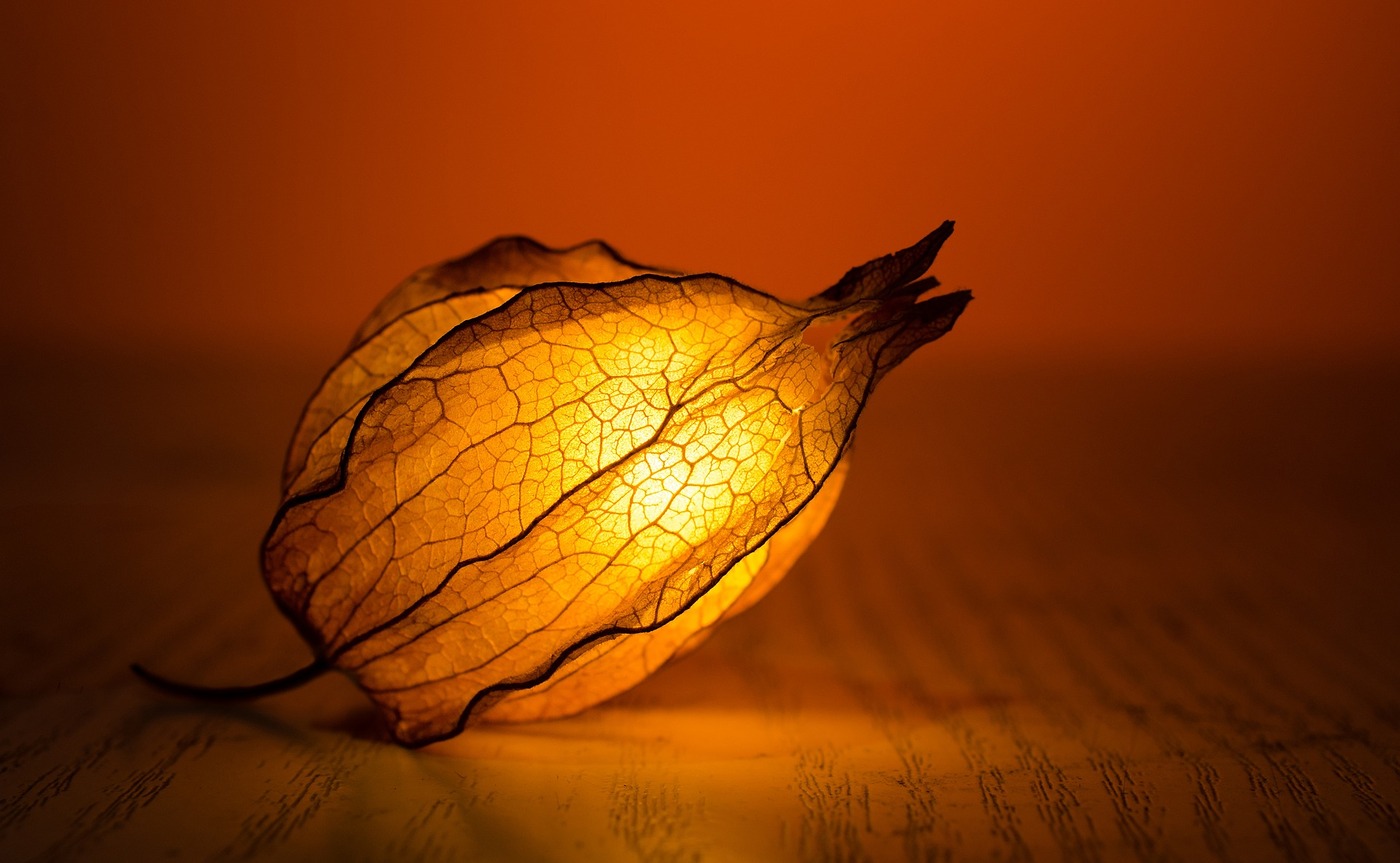 Pixabay/Pexels