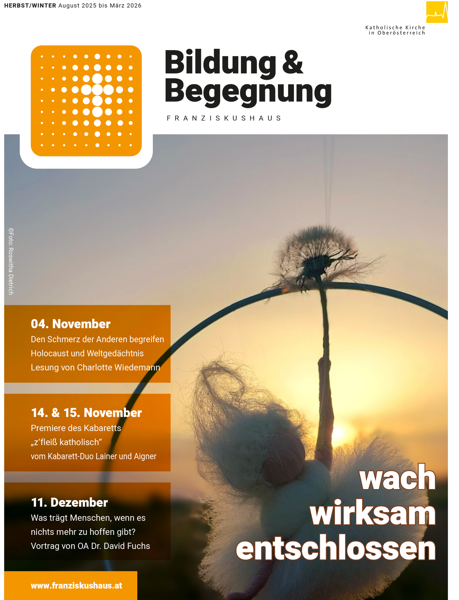 Programm 2025-2