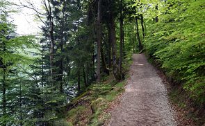 Fuschlsee