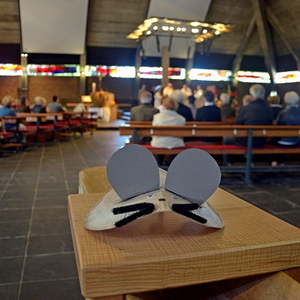 Bild4