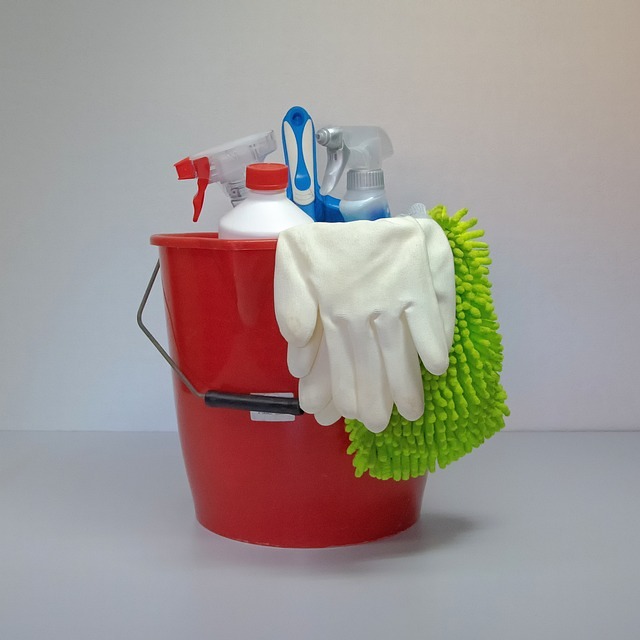 Putzkübel mit Reinigungsmaterial / pixabay