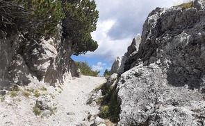 Berg