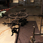 Führung im Neuen Dom