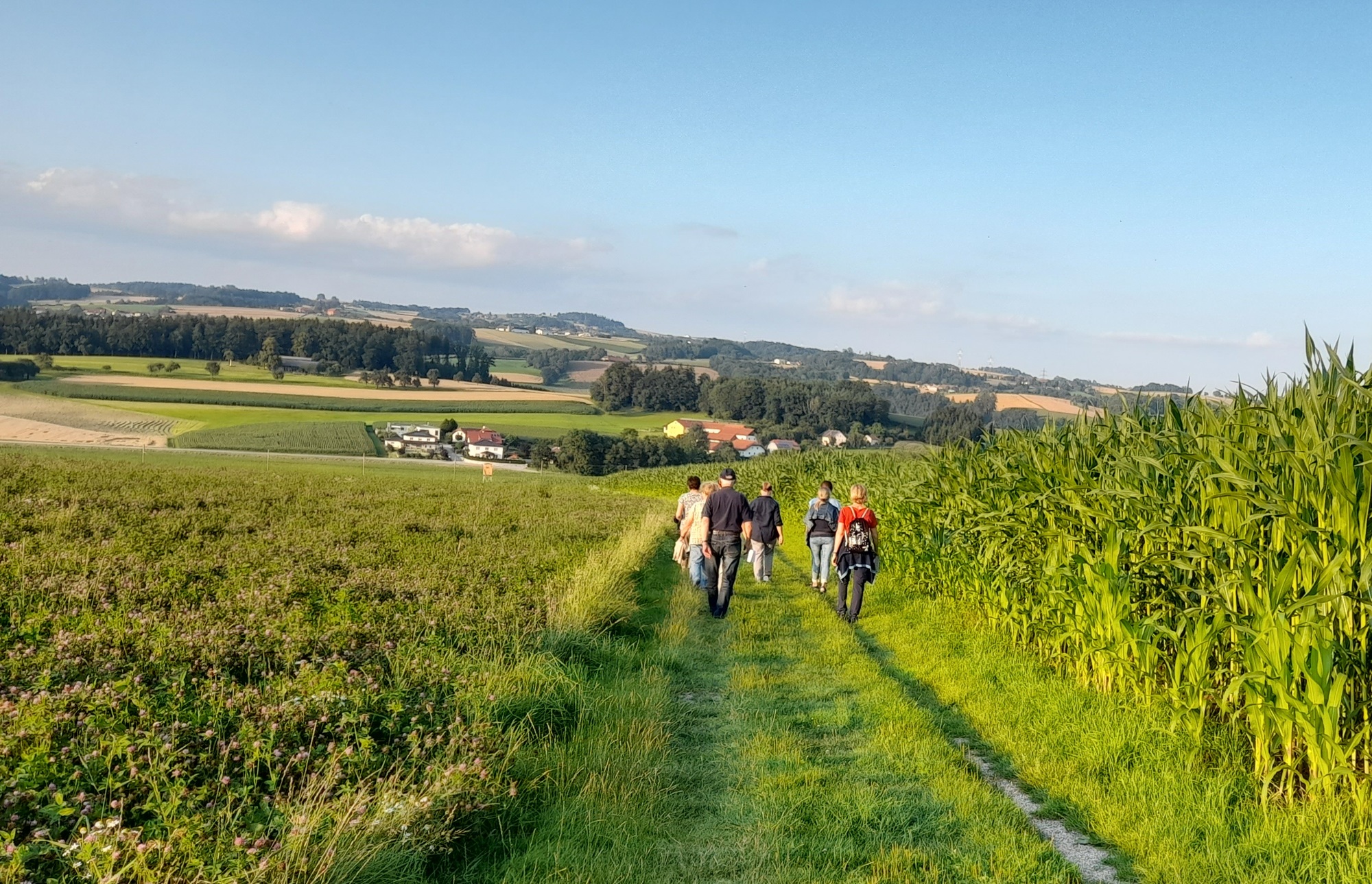 Abendwanderung